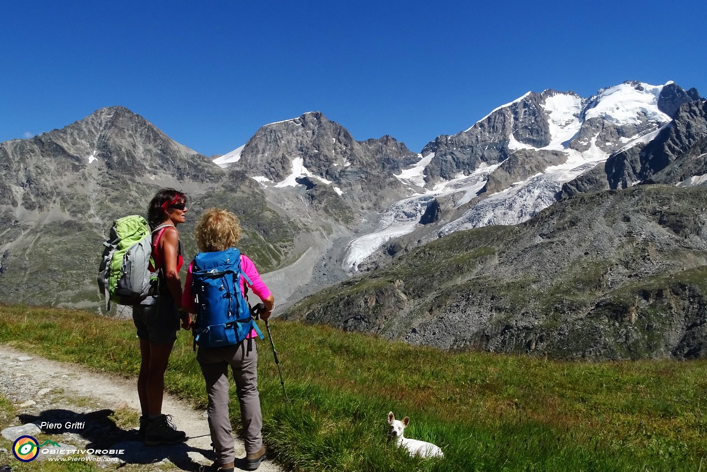 34 Da sx Piz Boval, Morteratsch, Bernina, Scerscen.JPG
